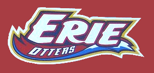 Erie Otters 2003-pres alternate logo iron on transfers for T-shirts